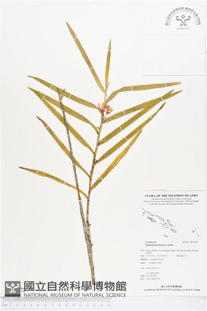 登錄號:BS02072藏品圖，第1張