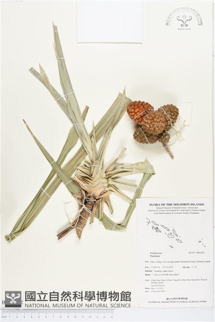 登錄號:BS03072藏品圖，第1張