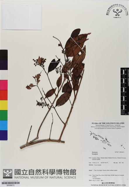 登錄號:BS06672藏品圖，第1張
