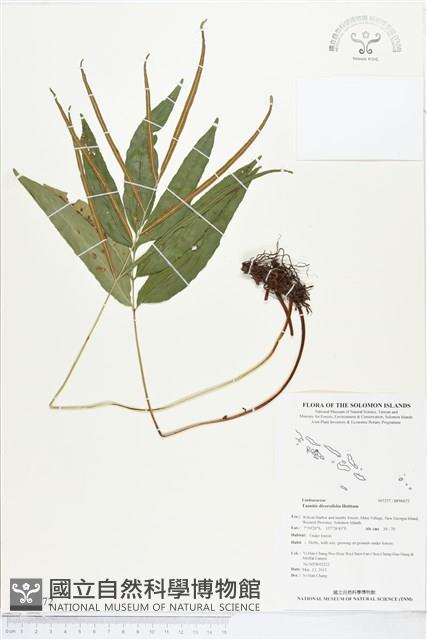 登錄號:BP00672藏品圖，第1張