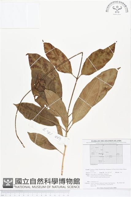 登錄號:BS01672藏品圖，第1張