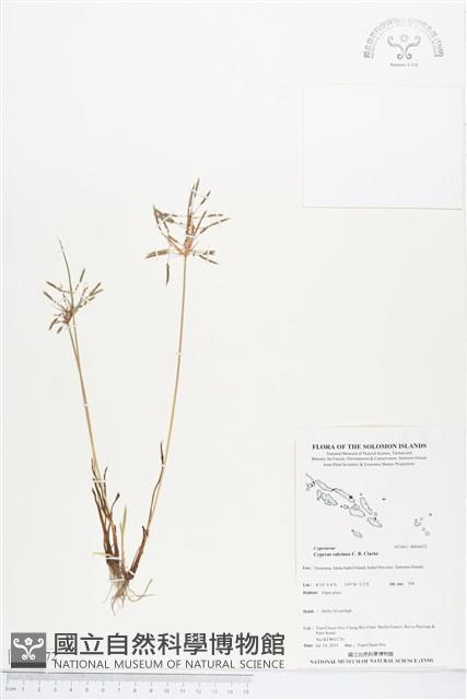 登錄號:BS04672藏品圖，第1張