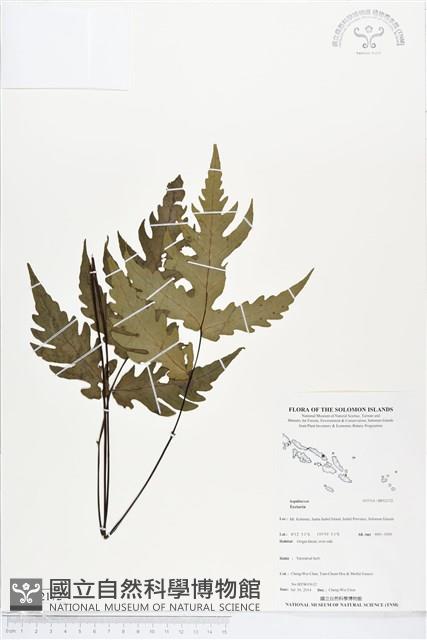 登錄號:BP02172藏品圖，第1張