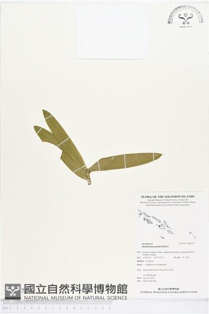 登錄號:BS02172藏品圖，第1張