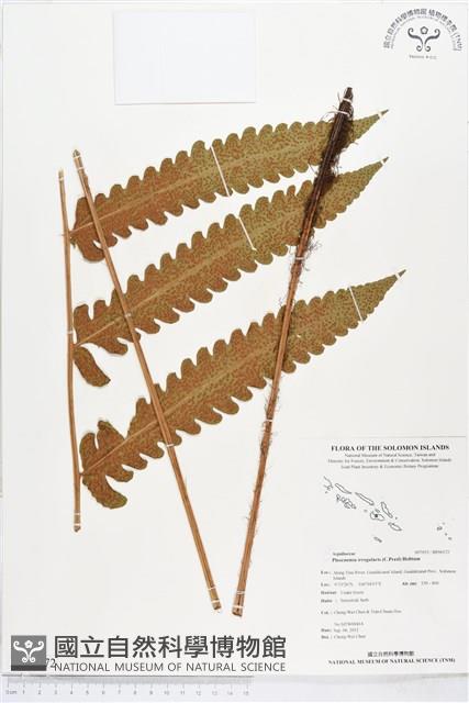 登錄號:BP00172藏品圖，第1張