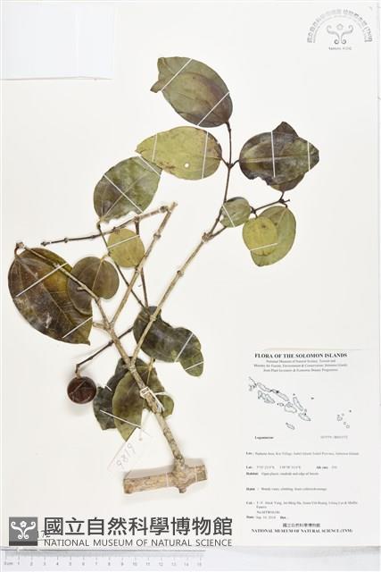 登錄號:BS05172藏品圖，第1張