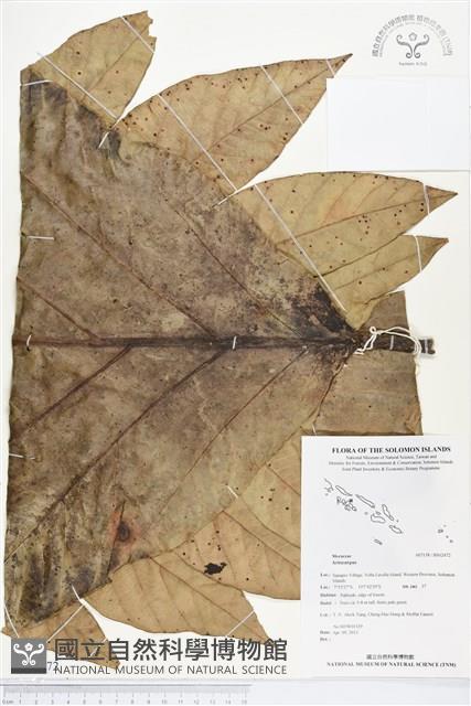 登錄號:BS02472藏品圖，第1張