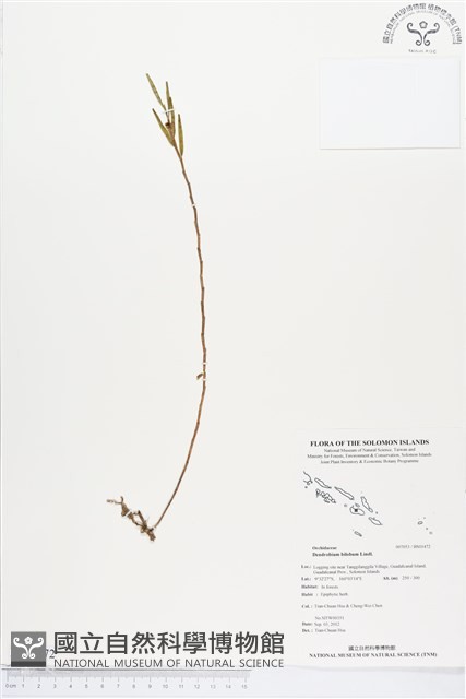 登錄號:BS01472藏品圖，第1張