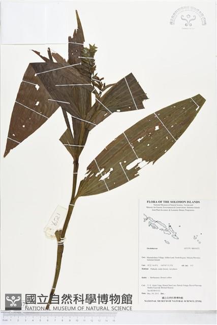 登錄號:BS05472藏品圖，第1張