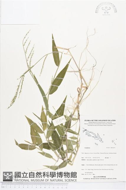 登錄號:BS04472藏品圖，第1張