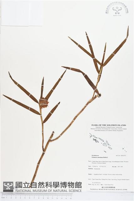 登錄號:BS03472藏品圖，第1張