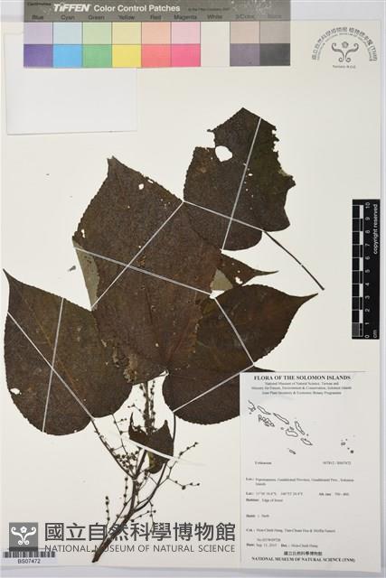 登錄號:BS07472藏品圖，第1張