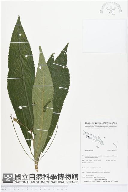 登錄號:BS04272藏品圖，第1張
