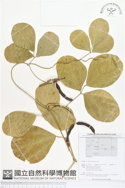 登錄號:BS01772藏品圖，第1張