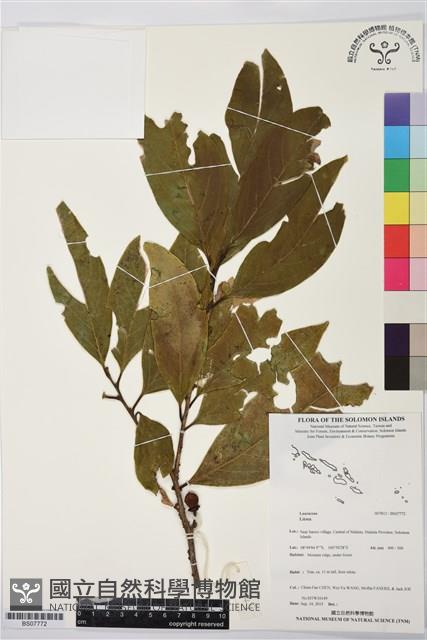 登錄號:BS07772藏品圖，第1張