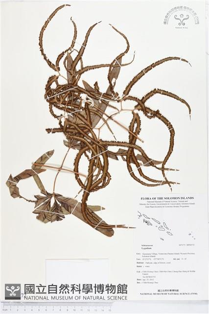 登錄號:BP00572藏品圖，第1張