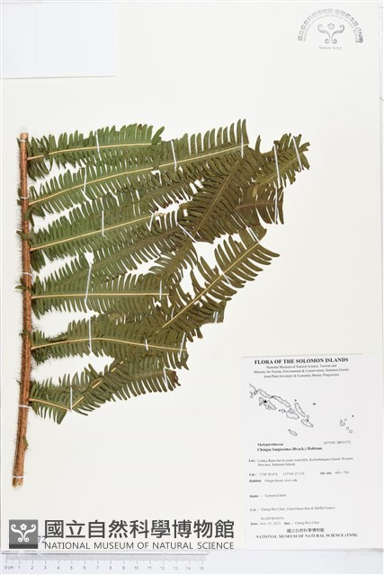 登錄號:BP01572藏品圖，第1張