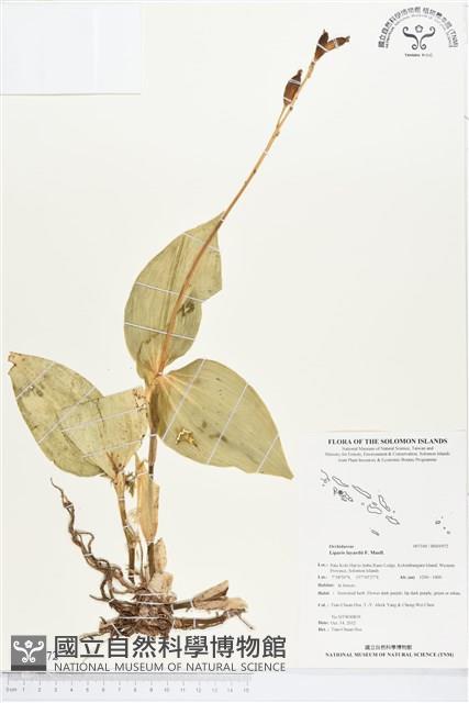 登錄號:BS01972藏品圖，第1張