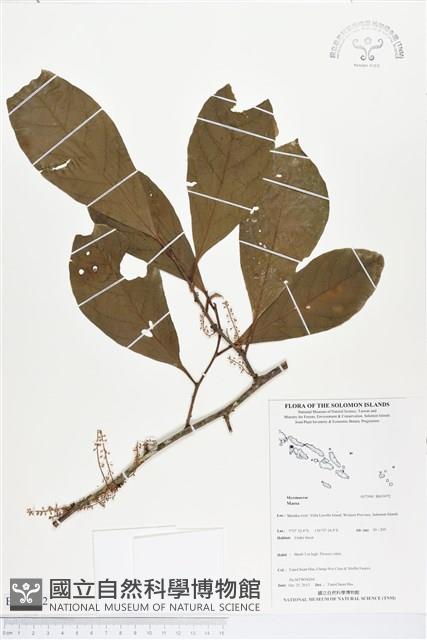 登錄號:BS03972藏品圖，第1張