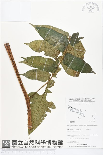 登錄號:BP02372藏品圖，第1張