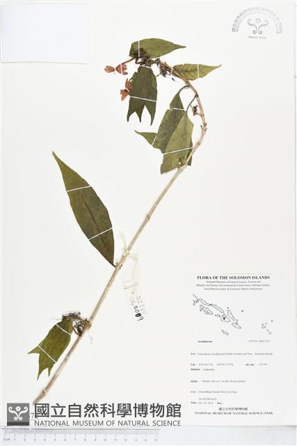 登錄號:BS05372藏品圖，第1張