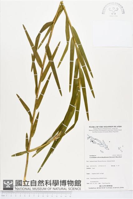 登錄號:BS04372藏品圖，第1張