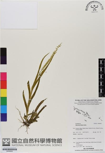 登錄號:BS06852藏品圖，第1張