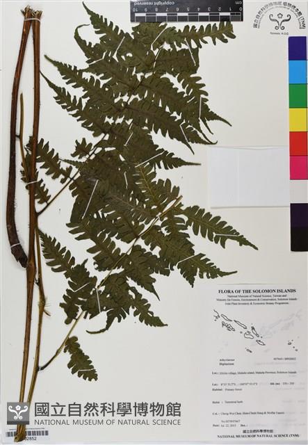 登錄號:BP02852藏品圖，第1張