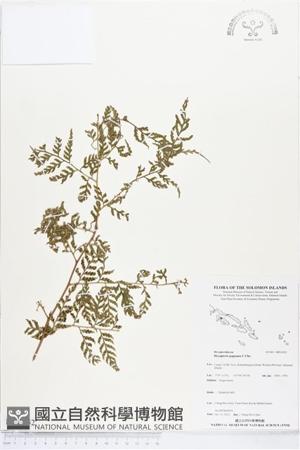 登錄號:BP01852藏品圖，第1張
