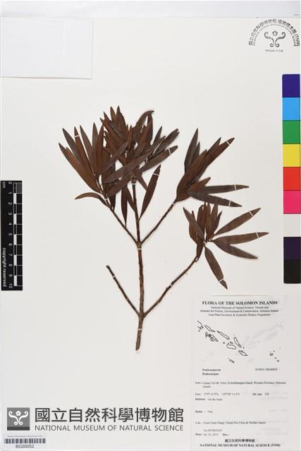 Accession Number:BG00052 Collection Image