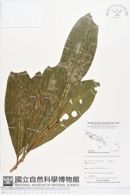 登錄號:BS05052藏品圖，第1張