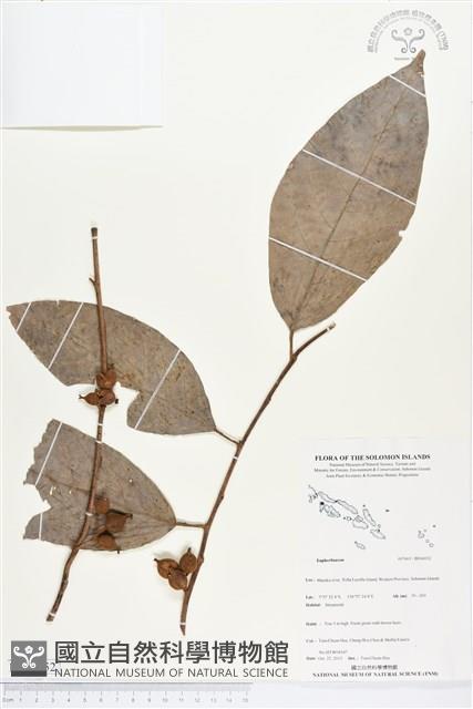 登錄號:BS04052藏品圖，第1張