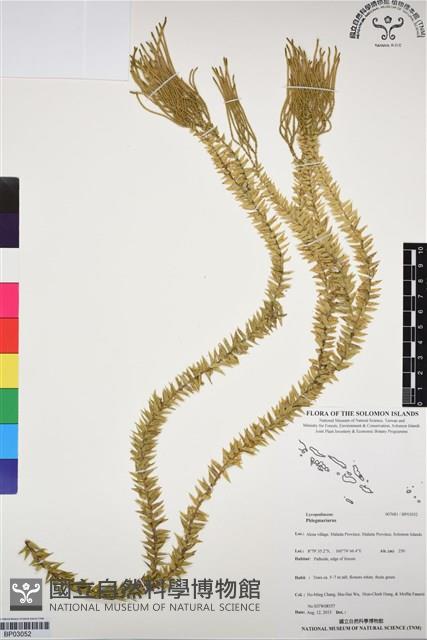 登錄號:BP03052藏品圖，第1張