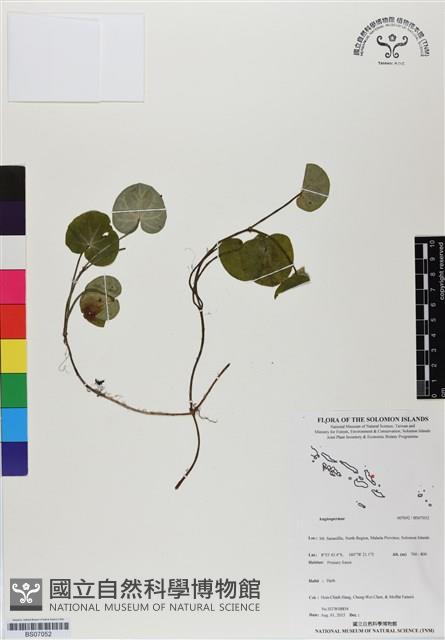 登錄號:BS07052藏品圖，第1張