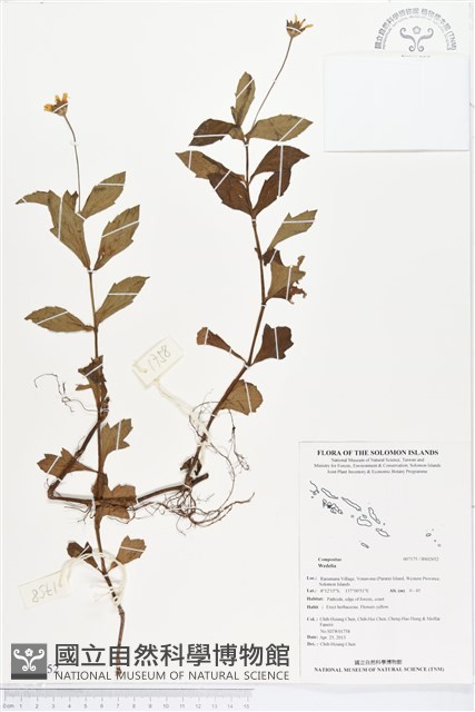 登錄號:BS02652藏品圖，第1張