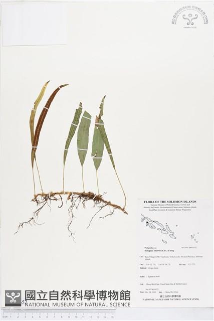 登錄號:BP01652藏品圖，第1張