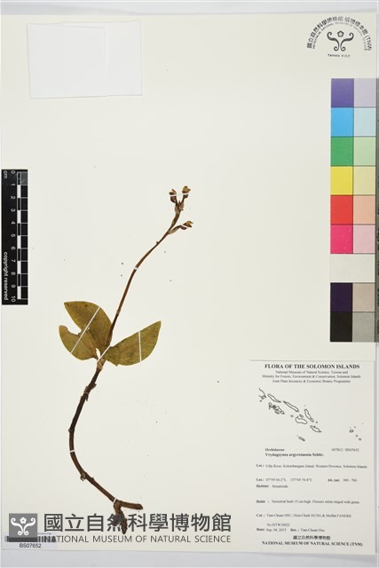 登錄號:BS07652藏品圖，第1張