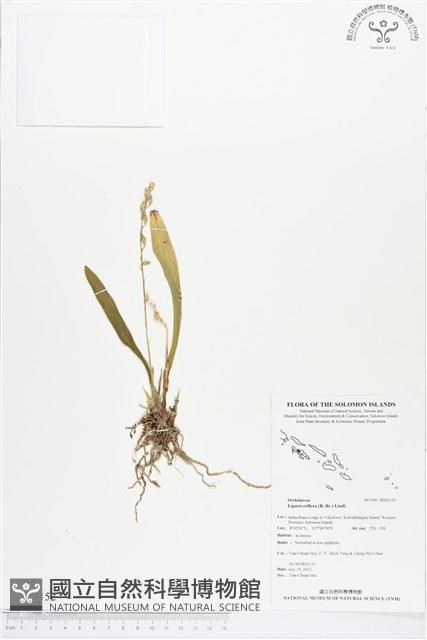 登錄號:BS02152藏品圖，第1張