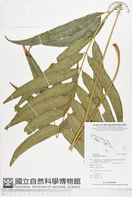 登錄號:BP00152藏品圖，第1張