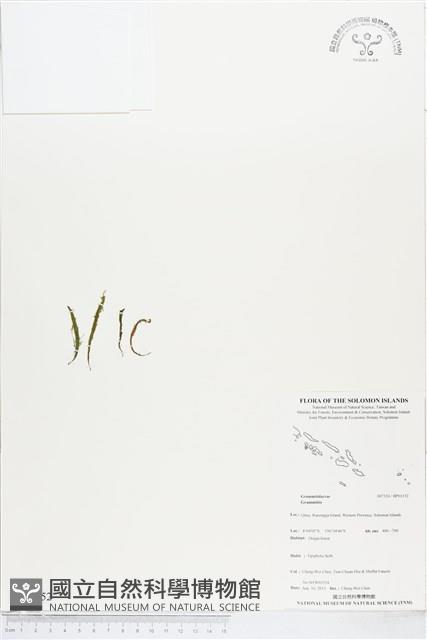 登錄號:BP01152藏品圖，第1張