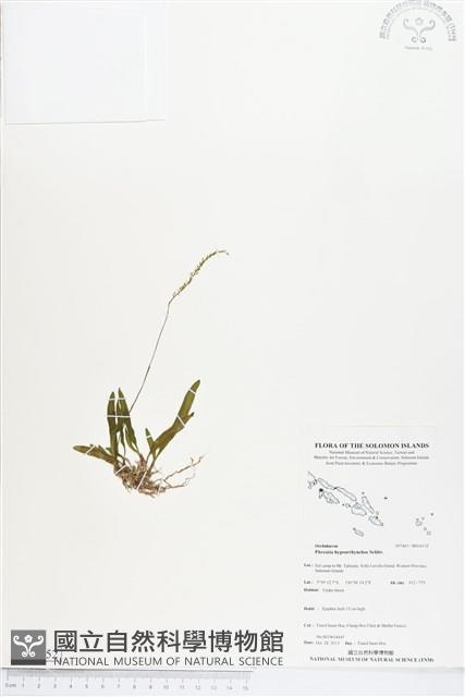 登錄號:BS04152藏品圖，第1張