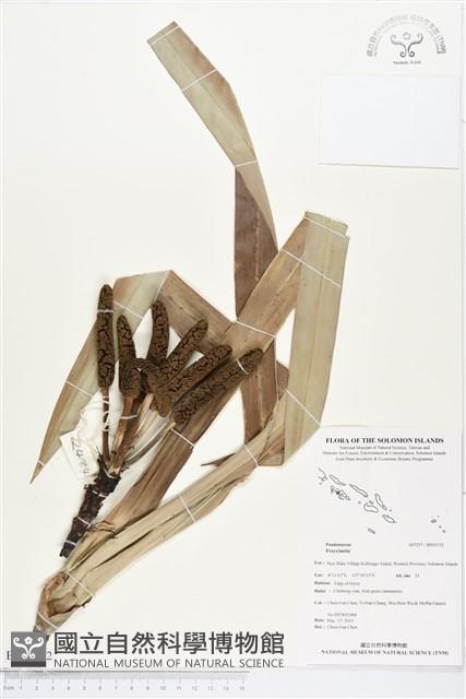 登錄號:BS03152藏品圖，第1張