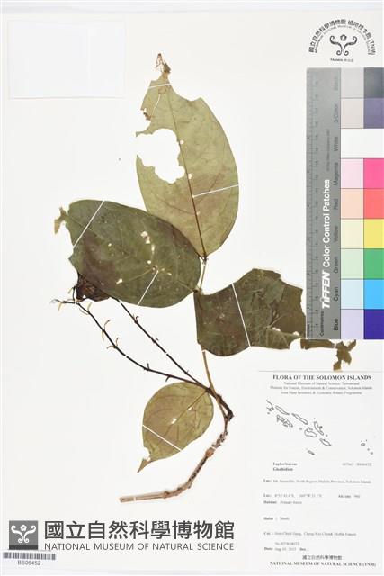 登錄號:BS06452藏品圖，第1張