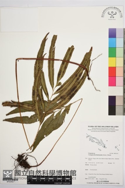 登錄號:BP02452藏品圖，第1張