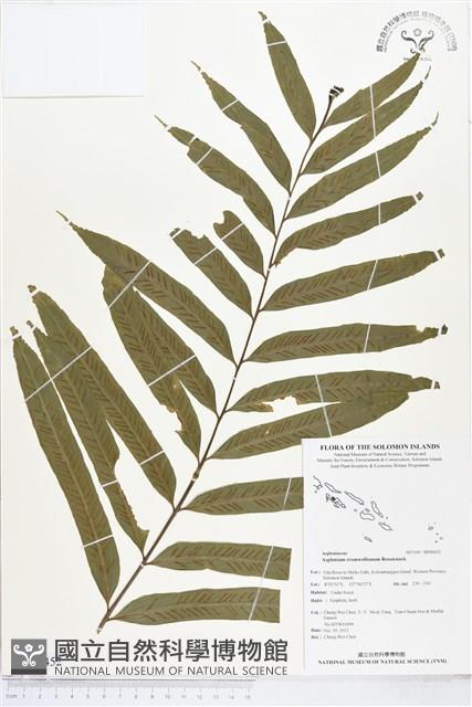 登錄號:BP00452藏品圖，第1張