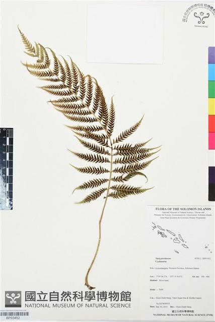 登錄號:BP03452藏品圖，第1張