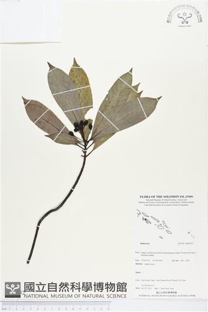 登錄號:BS03452藏品圖，第1張