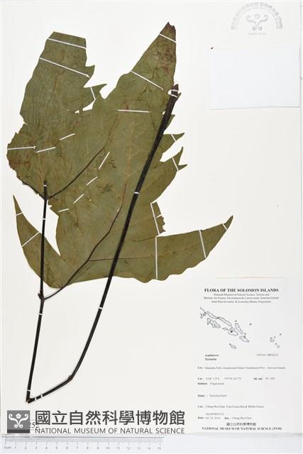 登錄號:BP02252藏品圖，第1張