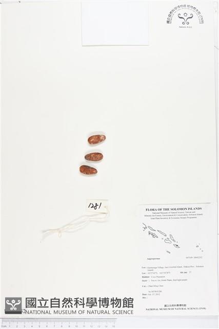 登錄號:BS02252藏品圖，第1張