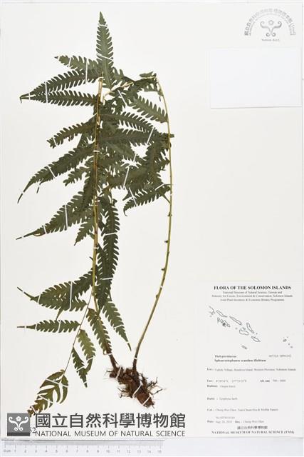 登錄號:BP01252藏品圖，第1張